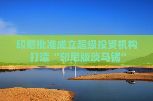 印尼批准成立超级投资机构 打造“印尼版淡马锡”
