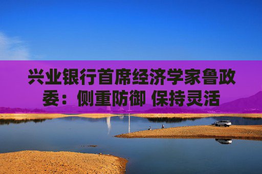 兴业银行首席经济学家鲁政委：侧重防御 保持灵活