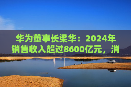 华为董事长梁华：2024年销售收入超过8600亿元，消费者业务重回增长