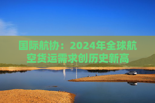 国际航协：2024年全球航空货运需求创历史新高