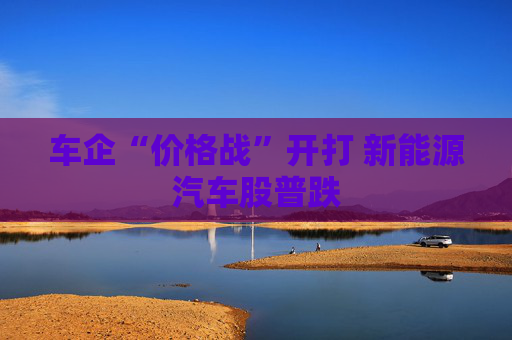 车企“价格战”开打 新能源汽车股普跌