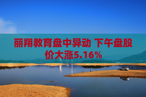 丽翔教育盘中异动 下午盘股价大涨5.16%