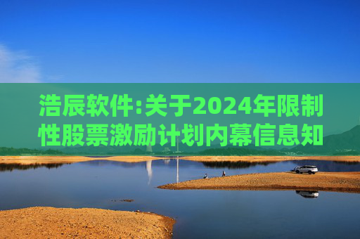 浩辰软件:关于2024年限制性股票激励计划内幕信息知情人及激励对象买卖公司股票情况的自查报告