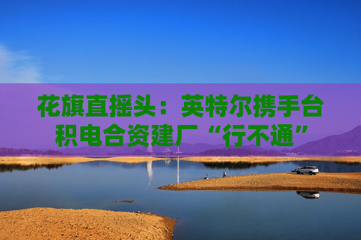 花旗直摇头：英特尔携手台积电合资建厂“行不通”