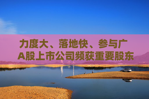 力度大、落地快、参与广  A股上市公司频获重要股东增持“力挺”