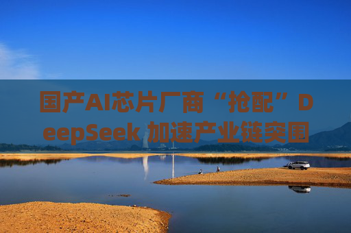 国产AI芯片厂商“抢配”DeepSeek 加速产业链突围