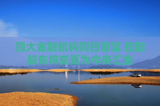 四大金融机构同日官宣 控股股东将变更为中央汇金