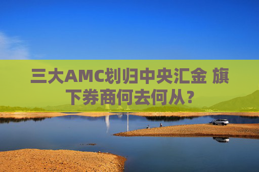 三大AMC划归中央汇金 旗下券商何去何从？