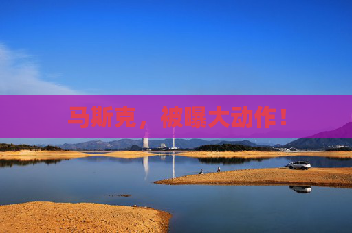 马斯克，被曝大动作！