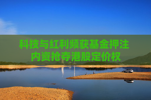科技与红利频获基金押注 内资抢夺港股定价权