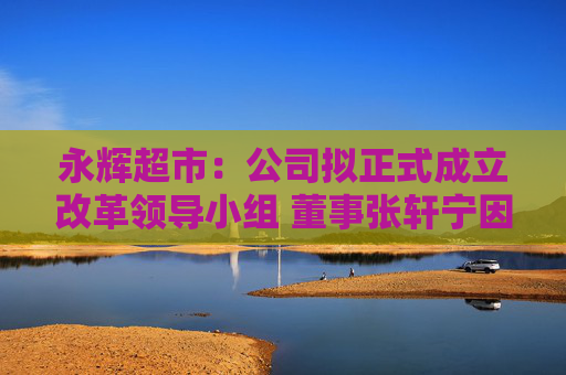 永辉超市：公司拟正式成立改革领导小组 董事张轩宁因CEO安排表示反对