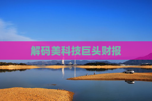 解码美科技巨头财报