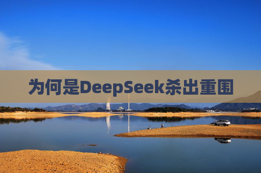 为何是DeepSeek杀出重围