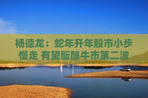 杨德龙：蛇年开年股市小步慢走 有望酝酿牛市第二波行情
