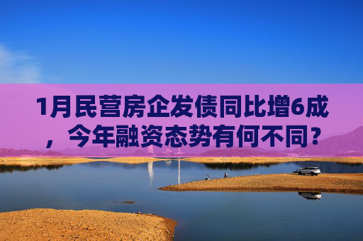 1月民营房企发债同比增6成，今年融资态势有何不同？