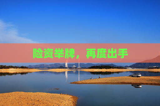 险资举牌，再度出手