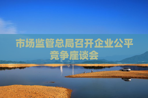 市场监管总局召开企业公平竞争座谈会