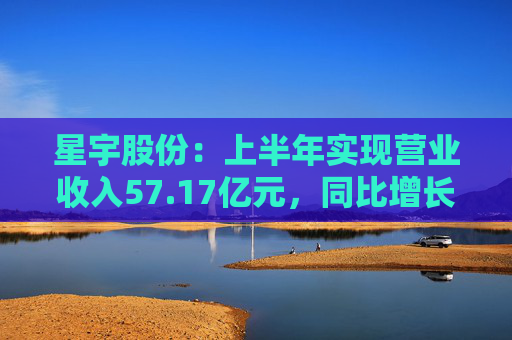 星宇股份：上半年实现营业收入57.17亿元，同比增长29.20%