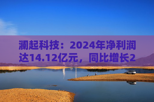澜起科技：2024年净利润达14.12亿元，同比增长213.10%