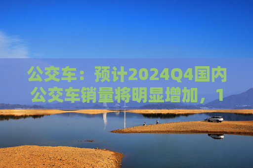 公交车：预计2024Q4国内公交车销量将明显增加，12月为高点