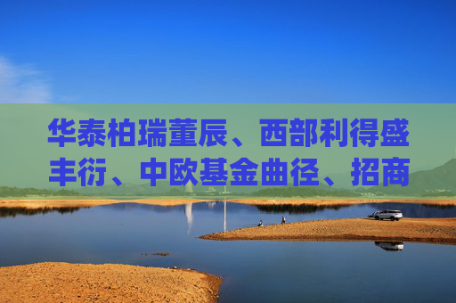 华泰柏瑞董辰、西部利得盛丰衍、中欧基金曲径、招商基金王平等百亿基金经理再发"限购令"