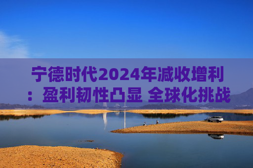 宁德时代2024年减收增利：盈利韧性凸显 全球化挑战犹存