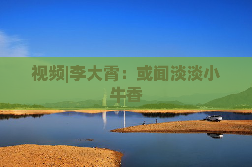 视频|李大霄：或闻淡淡小牛香