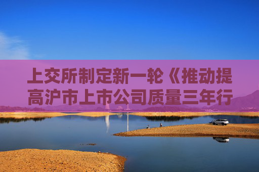 上交所制定新一轮《推动提高沪市上市公司质量三年行动计划》  进一步提升财务造假线索发现能力