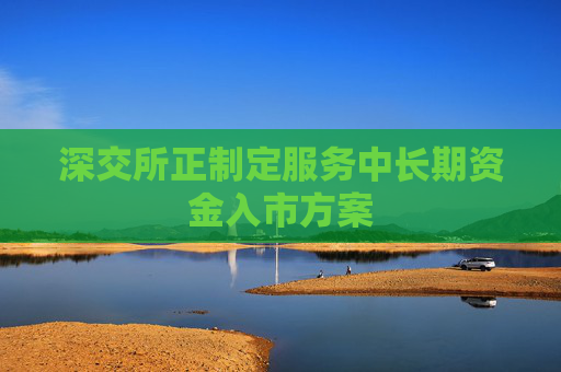 深交所正制定服务中长期资金入市方案