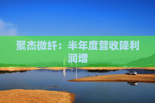 聚杰微纤：半年度营收降利润增