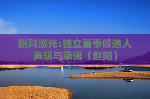 锐科激光:独立董事候选人声明与承诺（赵阳）