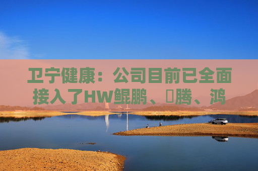 卫宁健康：公司目前已全面接入了HW鲲鹏、昇腾、鸿蒙、高斯四大生态领域