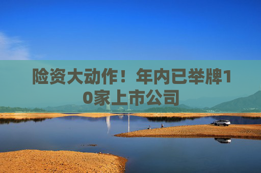 险资大动作！年内已举牌10家上市公司