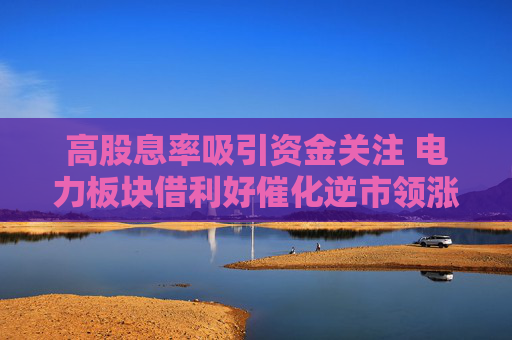 高股息率吸引资金关注 电力板块借利好催化逆市领涨