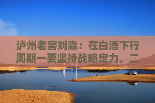 泸州老窖刘淼：在白酒下行周期一要坚持战略定力，二要与时俱进