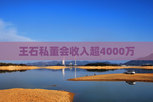 王石私董会收入超4000万