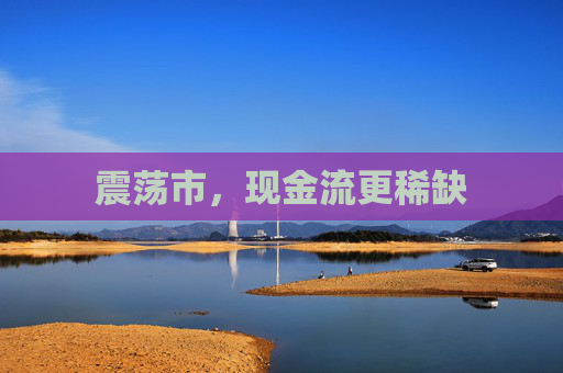 震荡市，现金流更稀缺