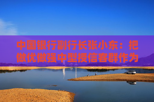 中国银行副行长张小东：把做优做强中型授信客群作为转型发展的重中之重