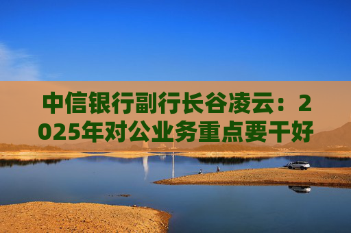 中信银行副行长谷凌云：2025年对公业务重点要干好三件大事