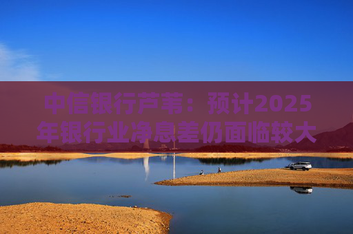 中信银行芦苇：预计2025年银行业净息差仍面临较大下降压力