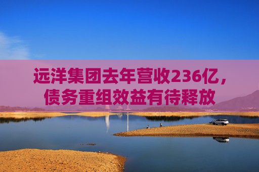 远洋集团去年营收236亿，债务重组效益有待释放