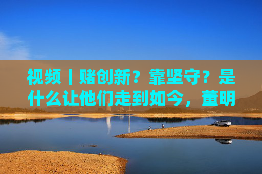 视频丨赌创新？靠坚守？是什么让他们走到如今，董明珠、何小鹏、齐向东、冷友斌谈创新与坚守