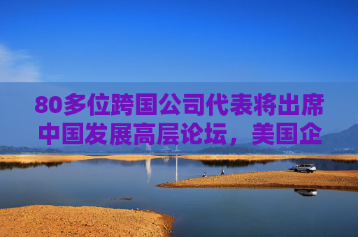 80多位跨国公司代表将出席中国发展高层论坛，美国企业最多