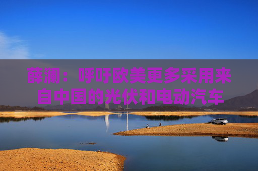 薛澜：呼吁欧美更多采用来自中国的光伏和电动汽车