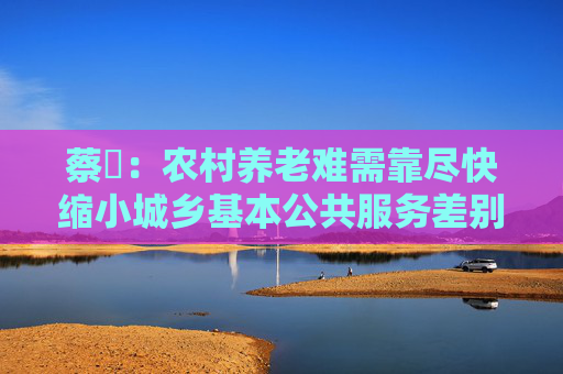 蔡昉：农村养老难需靠尽快缩小城乡基本公共服务差别等措施来解决
