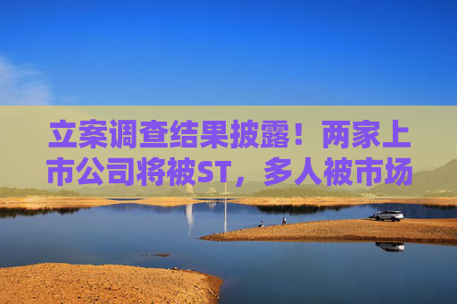 立案调查结果披露！两家上市公司将被ST，多人被市场禁入！