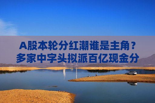 A股本轮分红潮谁是主角？多家中字头拟派百亿现金分红