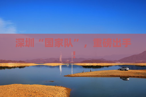 深圳“国家队”，重磅出手！
