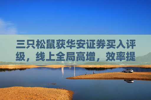 三只松鼠获华安证券买入评级，线上全局高增，效率提升