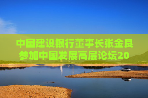 中国建设银行董事长张金良参加中国发展高层论坛2025年年会